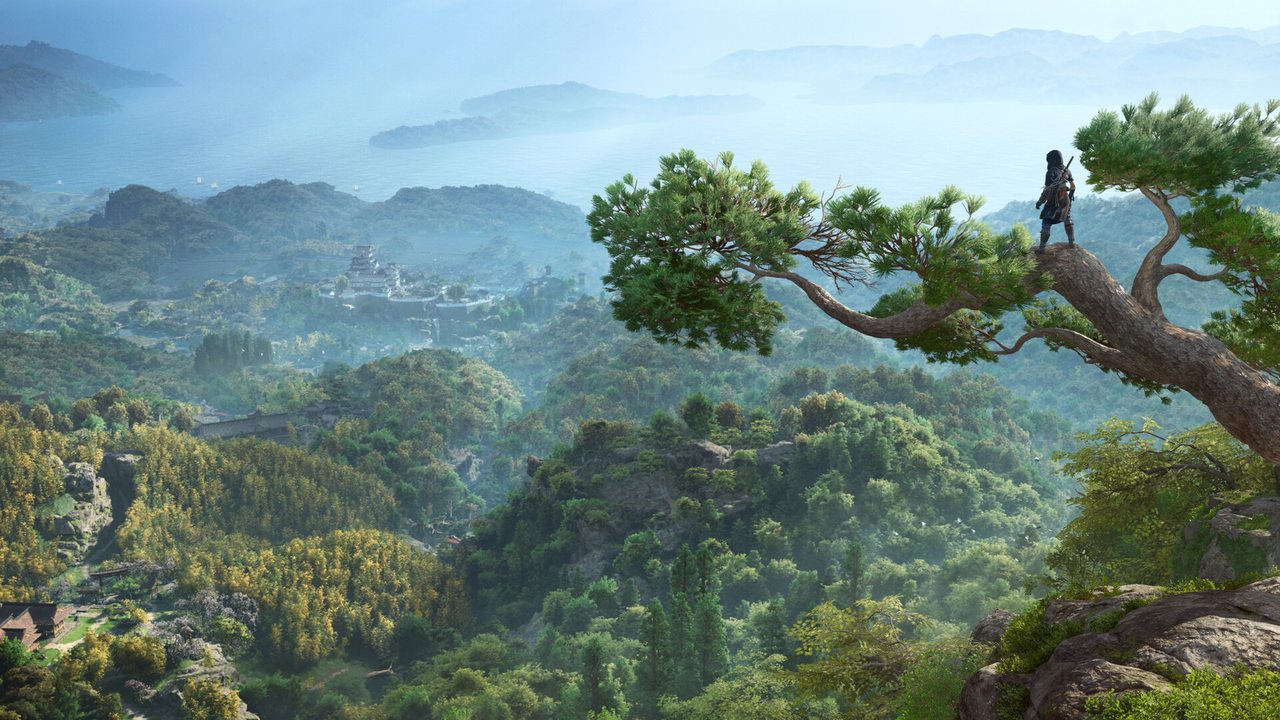 Forested mountains in summer