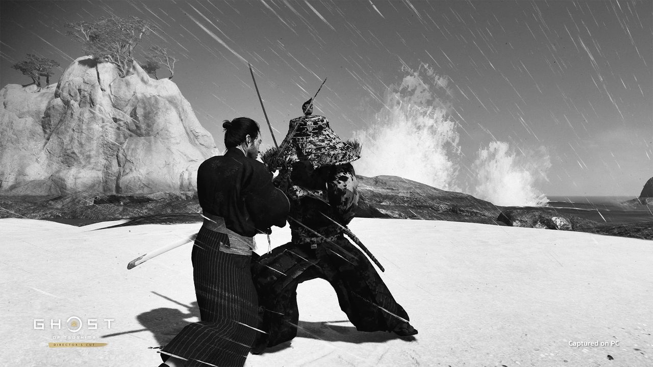 A black-and-white duel on a beach