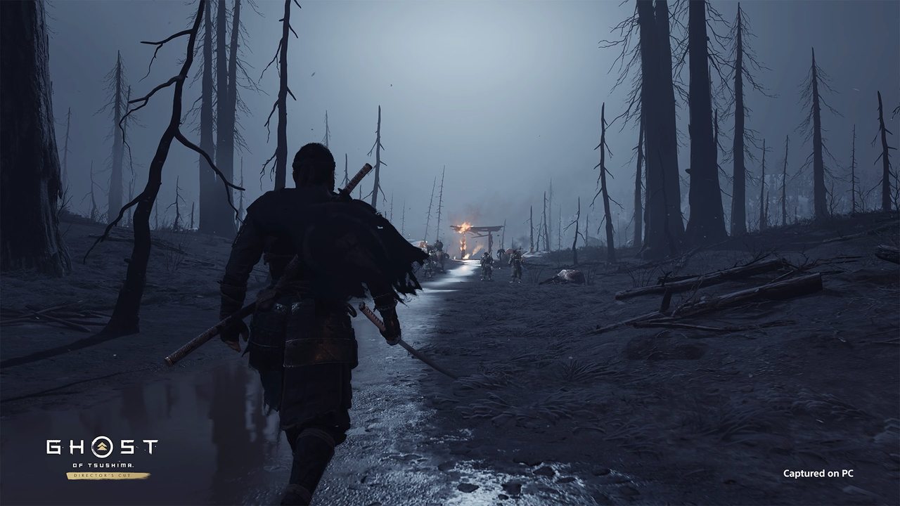 A lone figure walking through a burnt forest at night